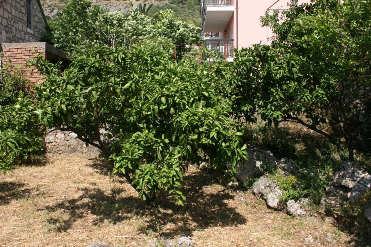 Apartments By The Sea Podaca, Makarska - 6874 Εξωτερικό φωτογραφία